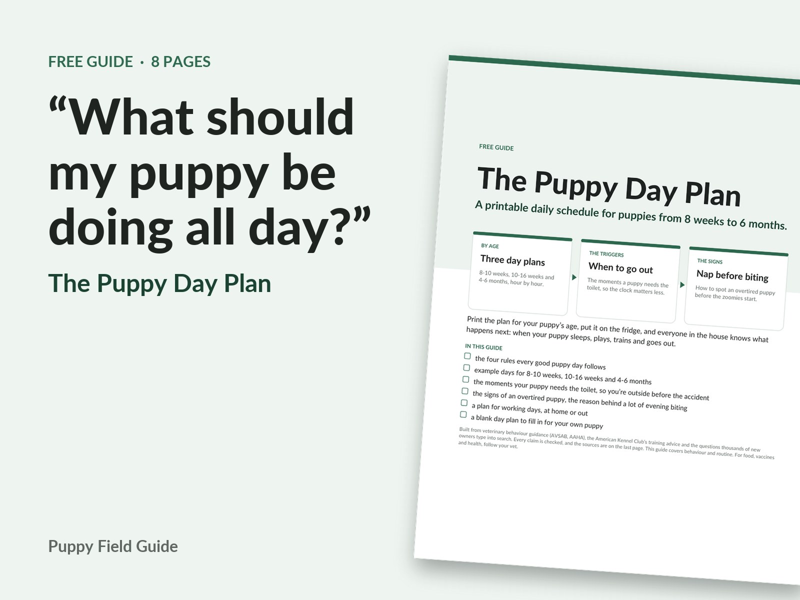 The Puppy Day Plan